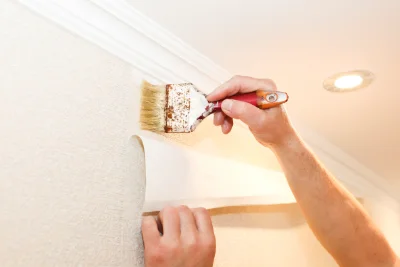 Pose de papier peint à Loire-sur-Rhône — revêtements muraux et toiles de verre